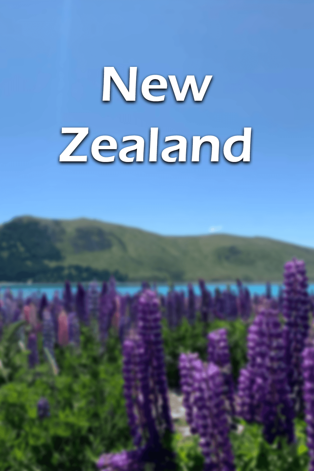 New Zealand poster